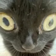 Salem