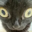 Salem