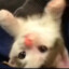 钻头