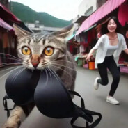 寡妇床下少年郎