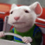 Caça Rato