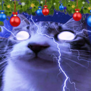 festivized low tier cat