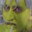 grungle moth