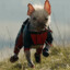 DogPool