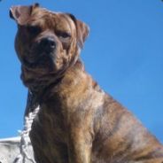 MrAnt - steam id 76561197960286799