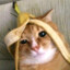 Subj