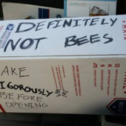 A box with no bees inside