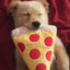 PizzaTime