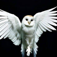 youppi - steam id 76561199672702834