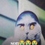 траgедия #freestyle