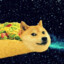 SuperTacoDoge