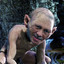 Erdogollum