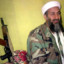 Donald Bin Laden