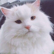 皮这一下非常开心