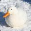 SnowDuck