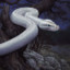 Serpent
