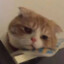 汤姆布利柏