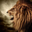 ✪LiOn_WoNdEd™