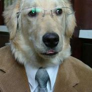 danchichi [no pants]