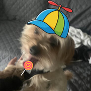 Dexty