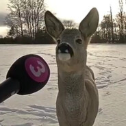 ???