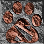 出货号 （30DAY）