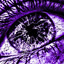 Xz_Koba