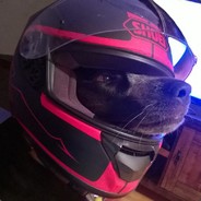 Data-Cain - steam id 76561197965611663