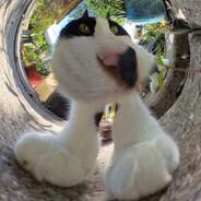 Mila_Azul