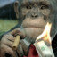 Monkey Chief