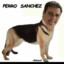 Perro Sanchez