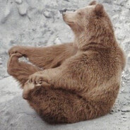 Yoga bear