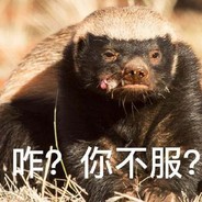 生死看淡&不服就干