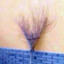 Jatex