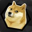 Polydoge