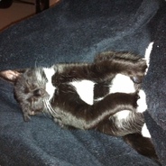 !Нет,мы не курим О_