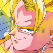 Vegito666Potara avatar