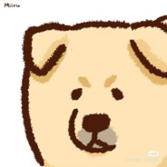 爱吃土豆的洋芋