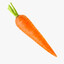 Carrot