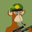 Sniper Monkey