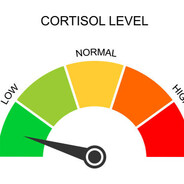 Low Cortisol Gaming 55