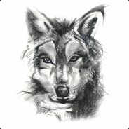 SchniX - steam id 76561197963171801