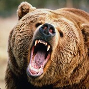BearDranzer