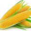 I_like_corn