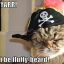 yarrr a pirate