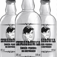 berger.2137CASE.GIFTCSGOSKINS