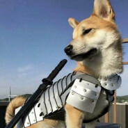 A我曾手牵星辰A