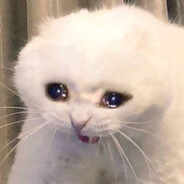 -800 - steam id 76561198146902361