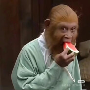 花果山猴王无法无天