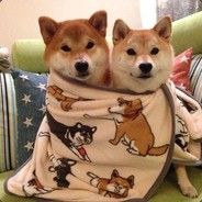 我蓝胖摇骰子都是666666